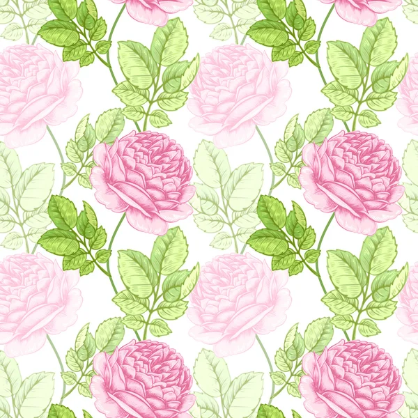 Fleur motif sans couture avec des roses . — Image vectorielle