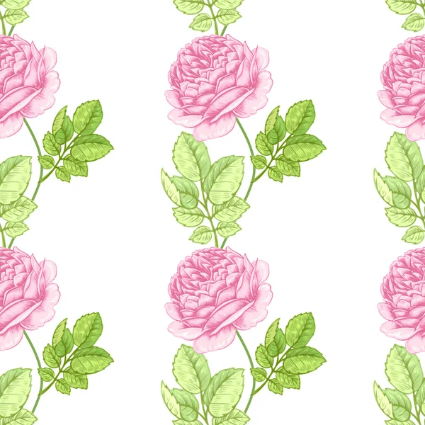 Blume nahtlose Muster mit Rosen. — Stockvektor