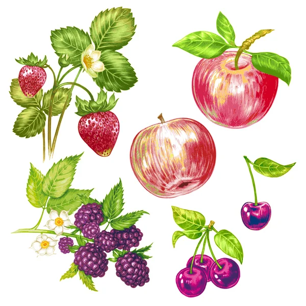 Meyve ve çilek ile Vektör dikişsiz çiçek deseni.