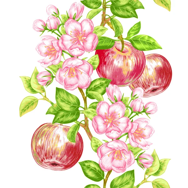 Vector seamless pattern with apple blossom. — Stock Vector