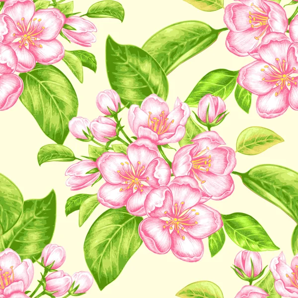 Vector seamless pattern with apple blossom. — Stock Vector