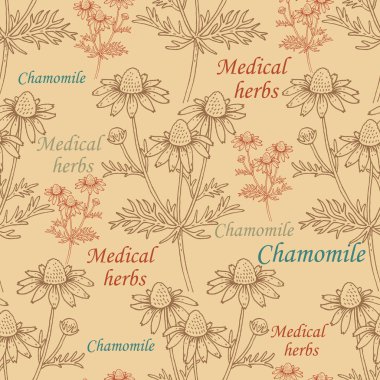 Papatya çiçekleri. Dikişsiz desen.