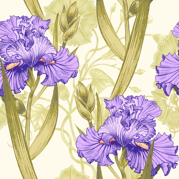 Modèle vectoriel sans couture avec iris fleurs . — Image vectorielle
