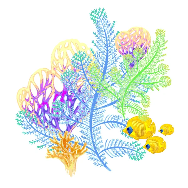 Composición con coral y peces sobre fondo blanco . — Vector de stock