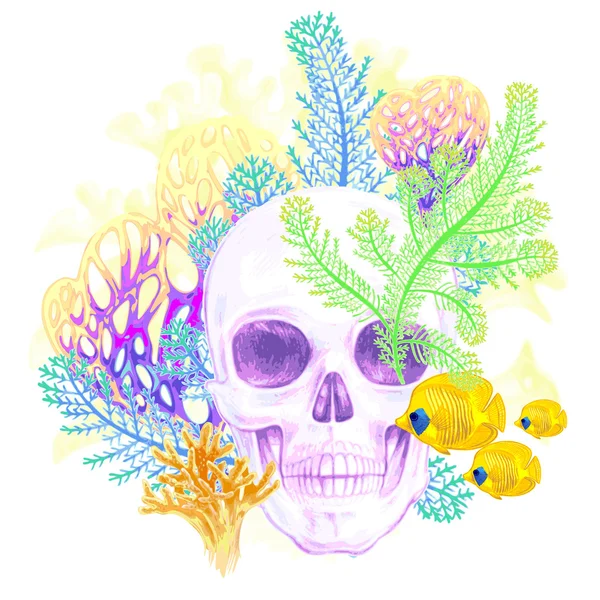 Composition with Skull, coral and fish on a white background. — Stock Vector