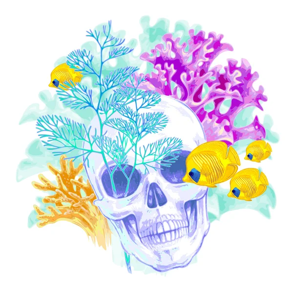 Composition with Skull, coral and fish on a white background. — Stock Vector