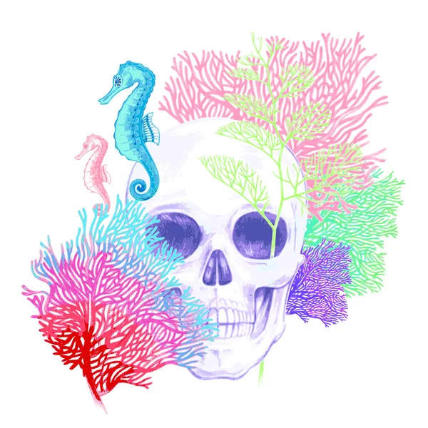 Composition with Skull, corals and sea horses on a white backgro — Stock Vector