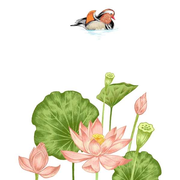 Ilustración con flores exóticas y pato mandarín . — Vector de stock