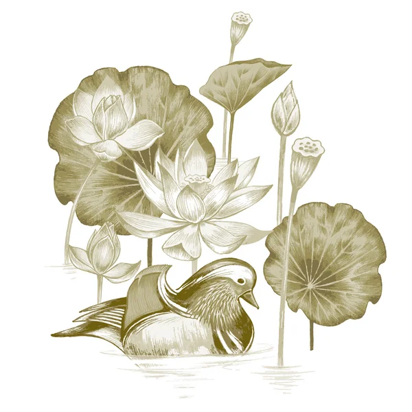 Ilustracja z egzotycznych kwiatów i kaczki mandarynki. — Wektor stockowy