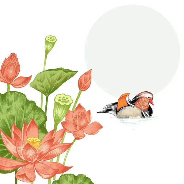 Illustratie met exotische bloemen en Mandarijn eend. — Stockvector