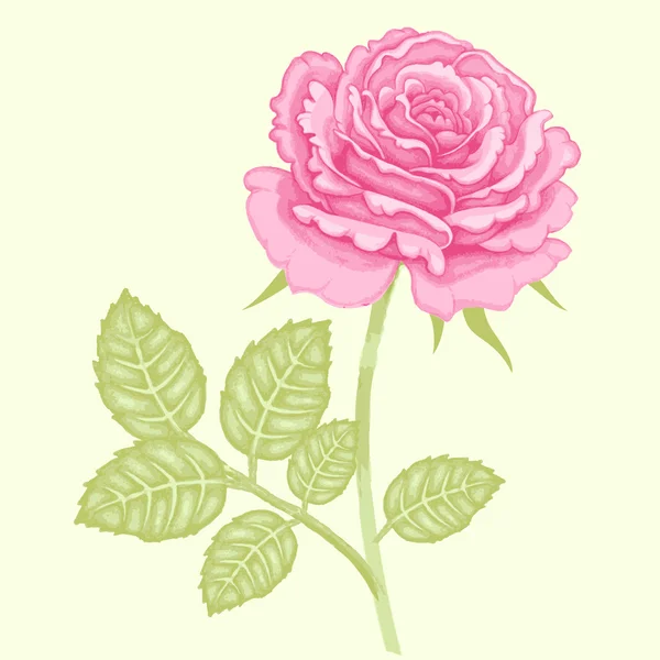 Vektor illustration av en ros, isolerad på vit bakgrund. — Stock vektor