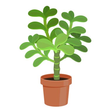 vektör çizimi kaktüs.