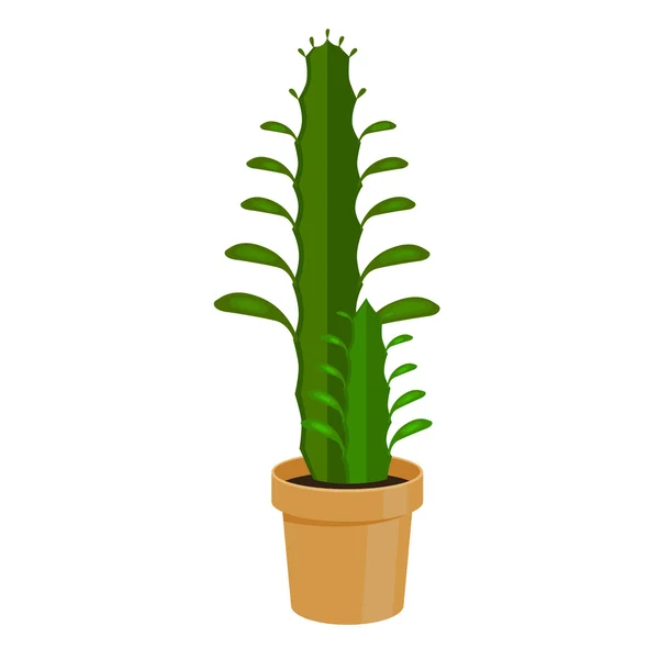 Vector illustration cactus. — Stock Vector