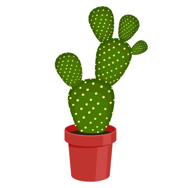 Vektor illustration kaktus. — Stock vektor