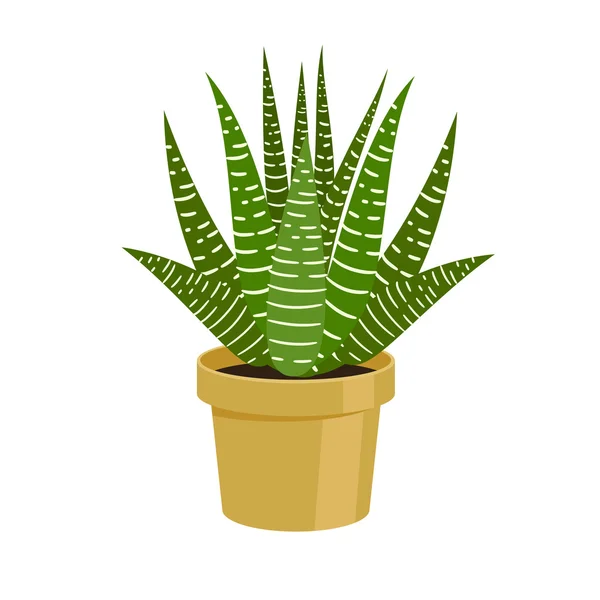 Vektor illustration kaktus. — Stock vektor