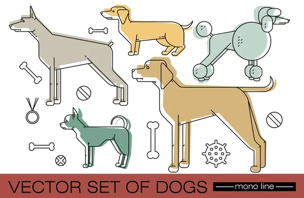 Ilustração vetorial de diferentes raças de cães . —  Vetores de Stock