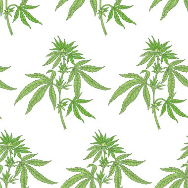 Tıbbi otlar ile dikişsiz desen.