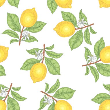 Limonlu pürüzsüz desen.