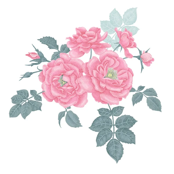 Bouquet di rose. — Vettoriale Stock
