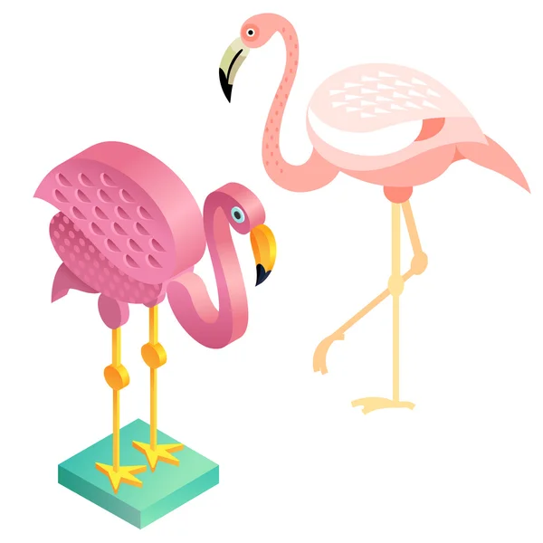 Flamingi ptaków w stylu płaskim i widok izometryczny. — Wektor stockowy