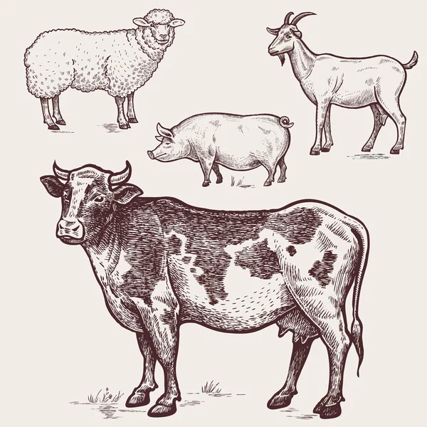 Набор птицы - корова, овца, свинья, коза. Фермерские животные — стоковый вектор