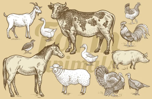 Çiftlik hayvanları ve kümes hayvanları vektör seti.