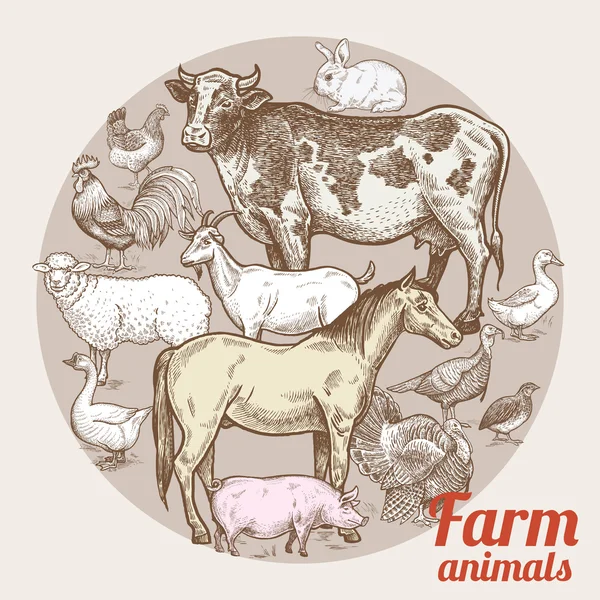 Composition en cercle avec les animaux de ferme et les oiseaux . — Image vectorielle