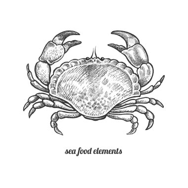 Beyaz arka planda izole görüntü yengeç.