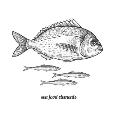 Dorado balık ve hamsi.