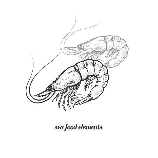 Camarones imagen aislada sobre fondo blanco . — Vector de stock