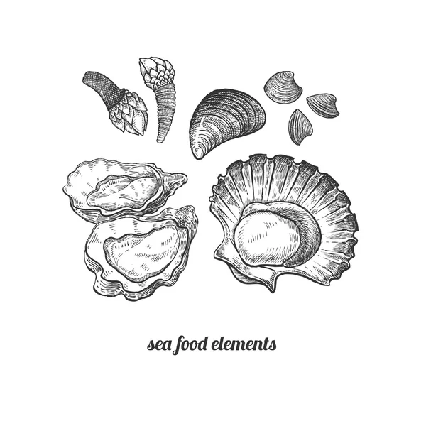 Fruits de mer. Mollusques, moules, pétoncles, huîtres, bernaches . — Image vectorielle