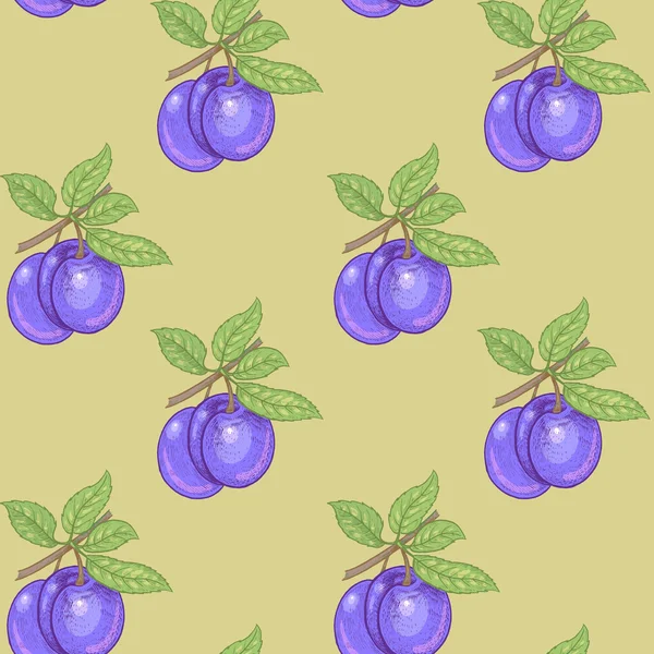 Modèle sans couture avec des baies de prunes — Image vectorielle