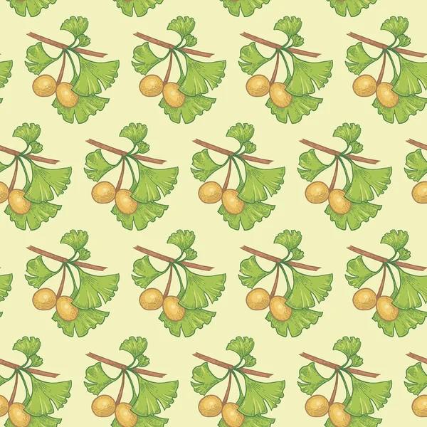 Modèle sans couture avec ginkgo biloba — Image vectorielle