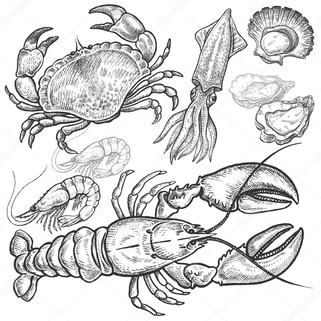 Set hand drawings of seafood. Stock Vector by ©sashakasha 118808124