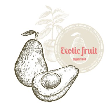 Egzotik meyve avokado.