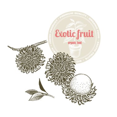 Egzotik meyve rambutan.