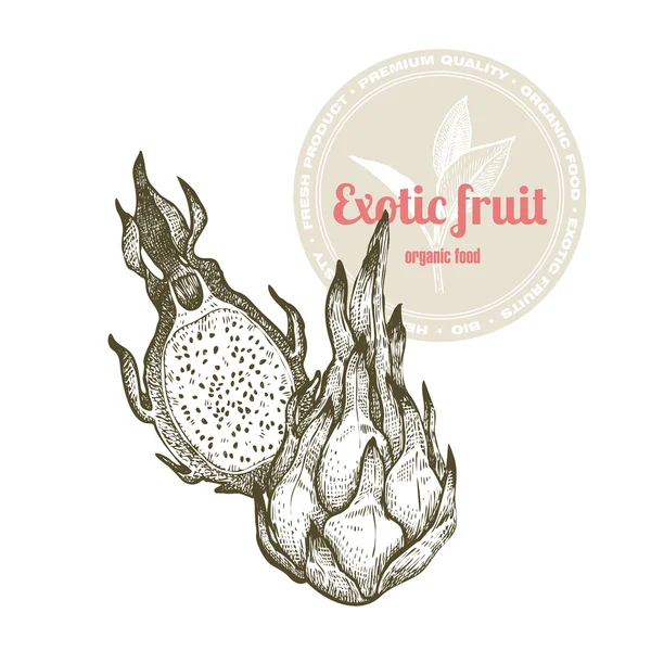 Frutas de dragonfruit exóticas . —  Vetores de Stock
