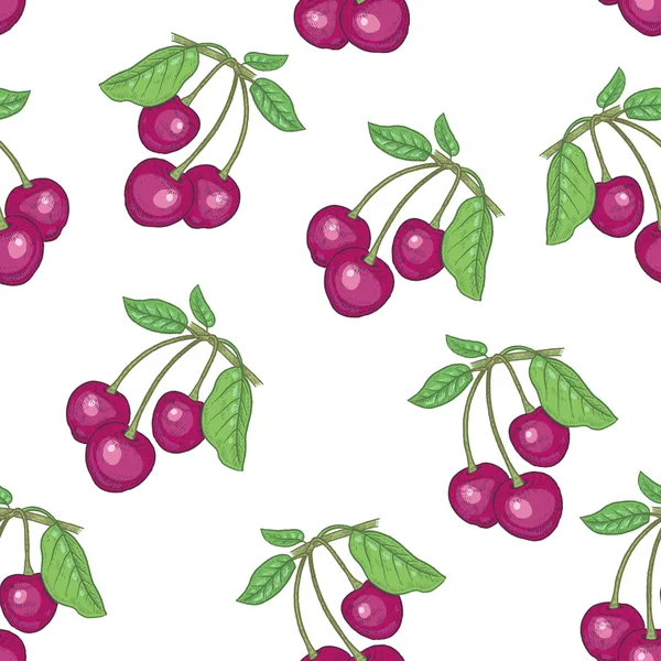 Płynny wzór z jagodami wiśni — Wektor stockowy