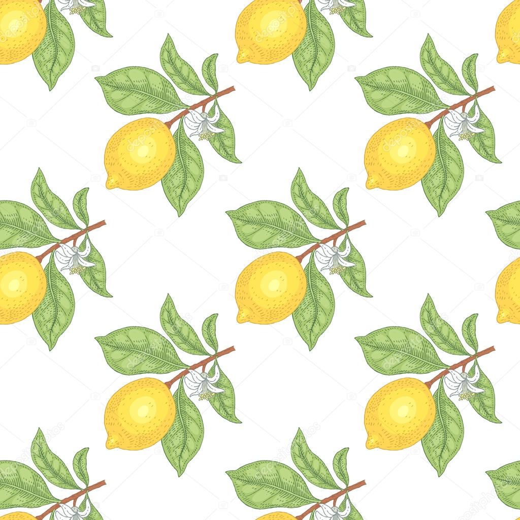 Seamless pattern with lemons.