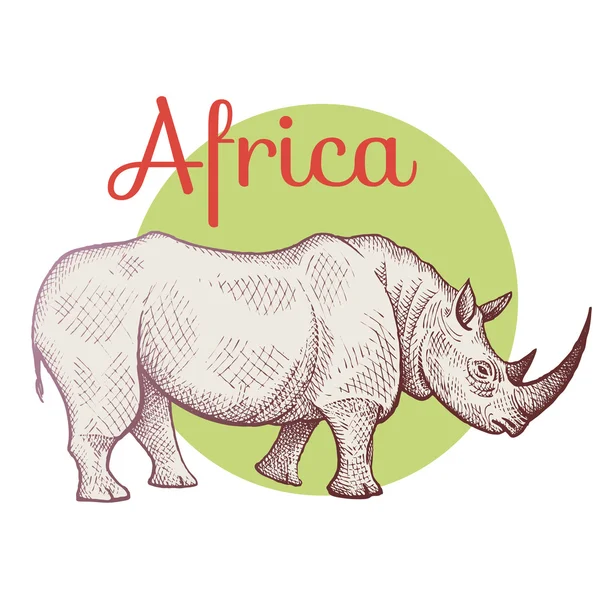 Rinoceronte animal africano . — Vector de stock