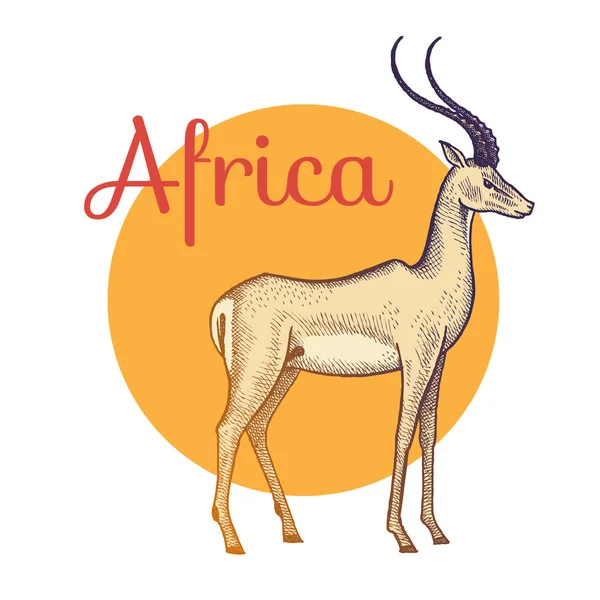 Antílope de animales africanos . — Vector de stock