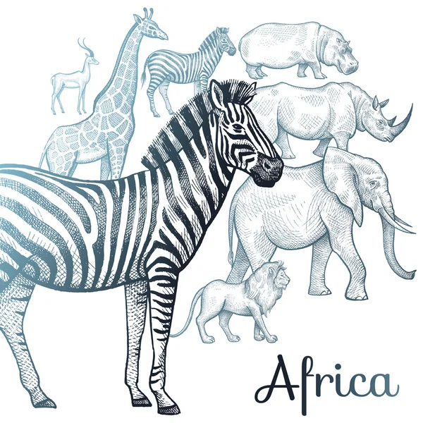 Illusztráció: afrikai állatok. — Stock Vector