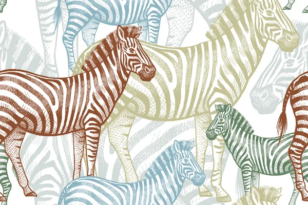 Naadloze patroon met Afrikaanse dieren zebra. — Stockvector