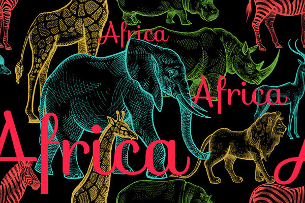 Бесшовный рисунок со слонами, жирафами, носорогами, бегемотами, львами
