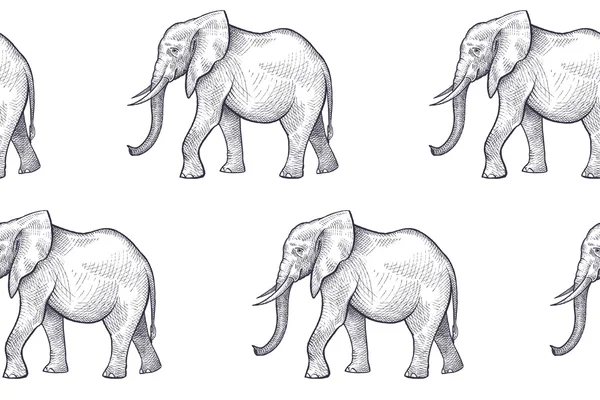 Modèle vectoriel sans couture avec éléphants . — Image vectorielle