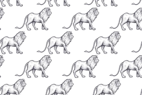 Patrón sin costuras con leones africanos . — Vector de stock