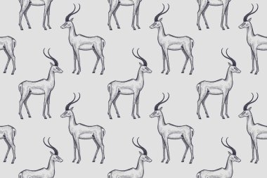 Afrika antilop ile Seamless Modeli.