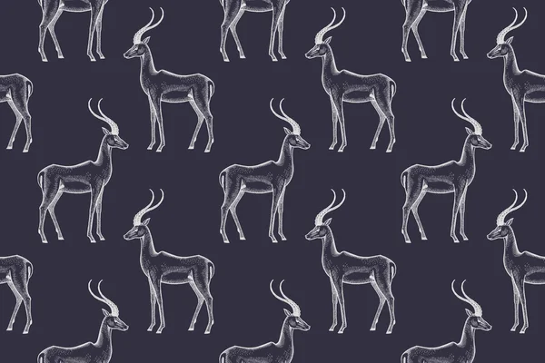 Seamless mönster med afrikanska antiloper. — Stock vektor