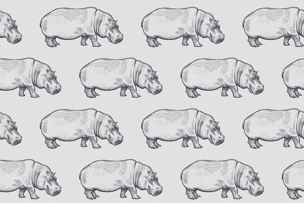 Patrón sin costuras con hipopótamo africano . — Vector de stock