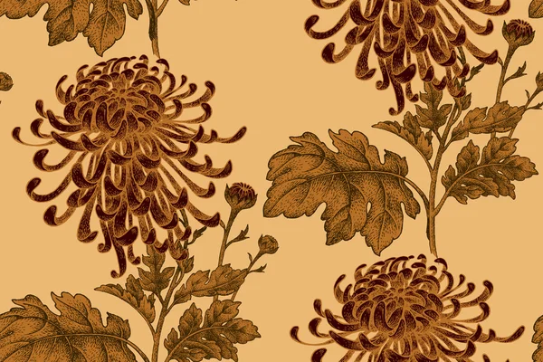 Bezešvé vzory s květy chryzantémy. — Stockový vektor